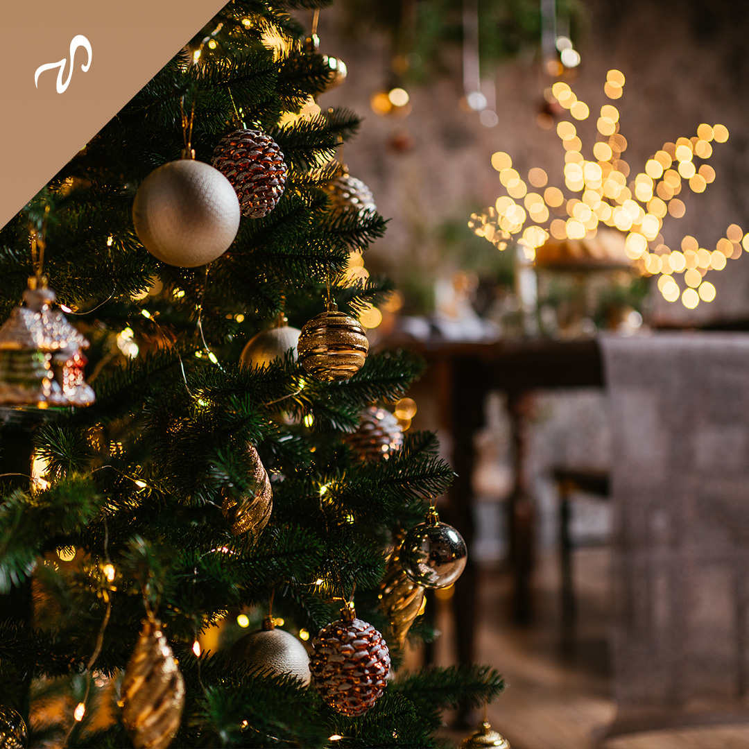 Um Natal de Gratidão e Esperança!