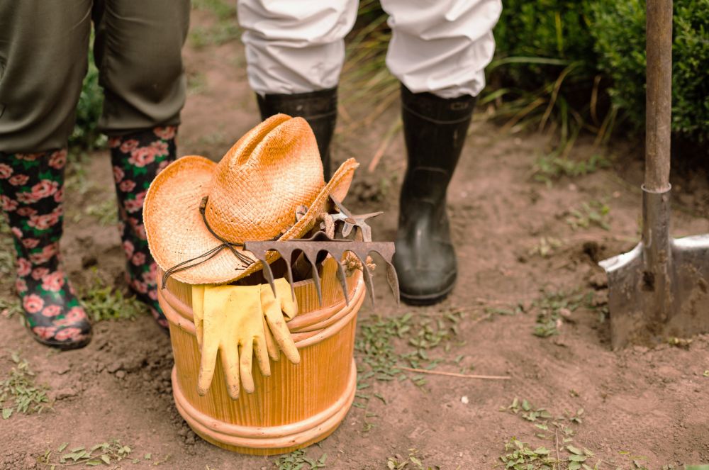 Teve o tempo rural negado? Veja o que a Dra. Kátia Viegas orienta fazer