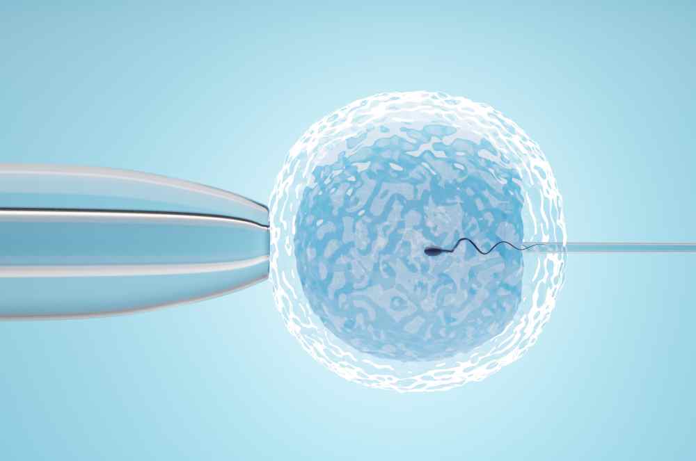 Trabalhadora poderá sacar FGTS para realizar fertilização in vitro