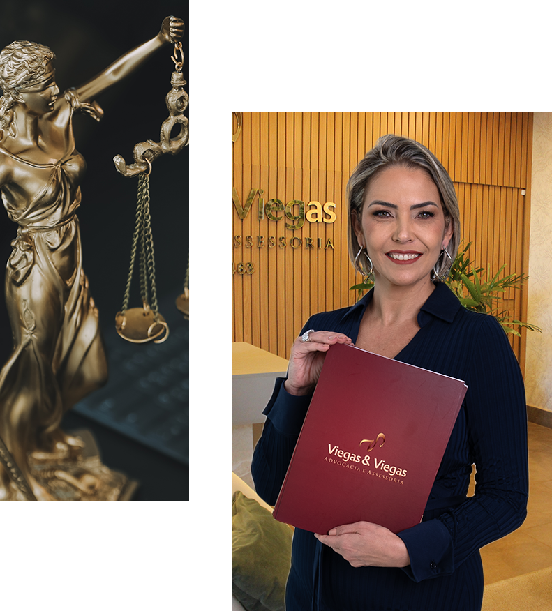 Viegas & Viegas Advocacia e Assessoria